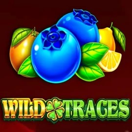 Wild Traces slot icon by Amusnet Interactive, available at WinRolla Casino